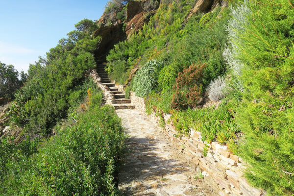Cap Benat maison Lefevre-Devaux jardin 1