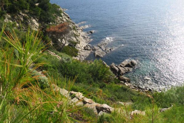 Cap Benat maison Lefevre-Devaux jardin 1