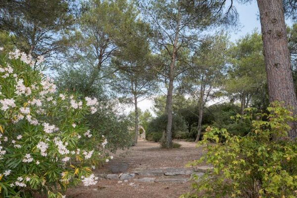 maison bioclimatique gerber00022