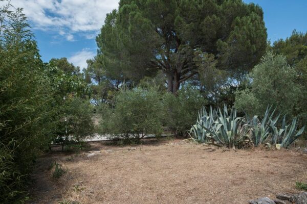 maison bioclimatique gerber00027