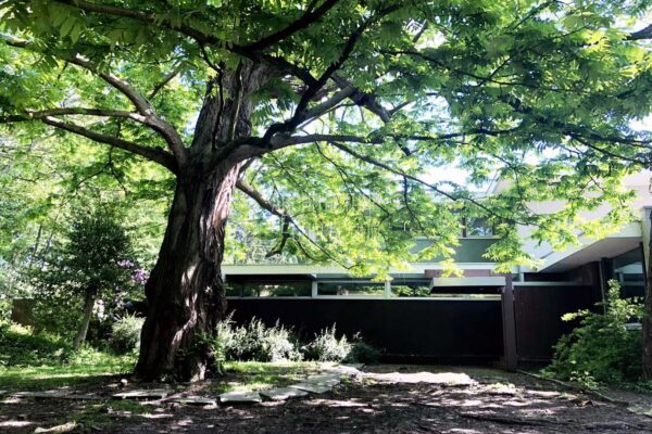 Villa Delcourt Richard Neutra Croix (28)